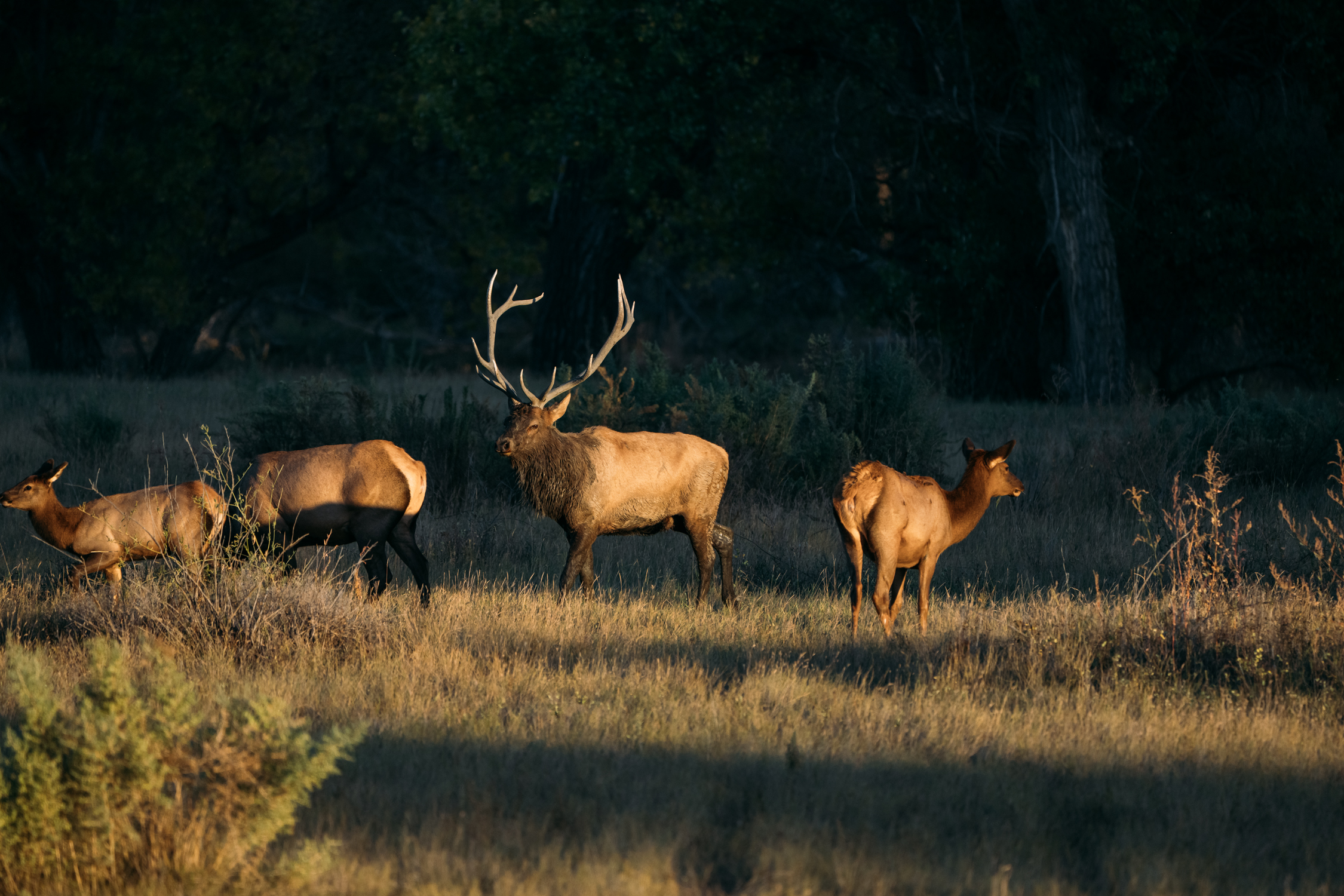 An Eastern Montana Educational Experience
