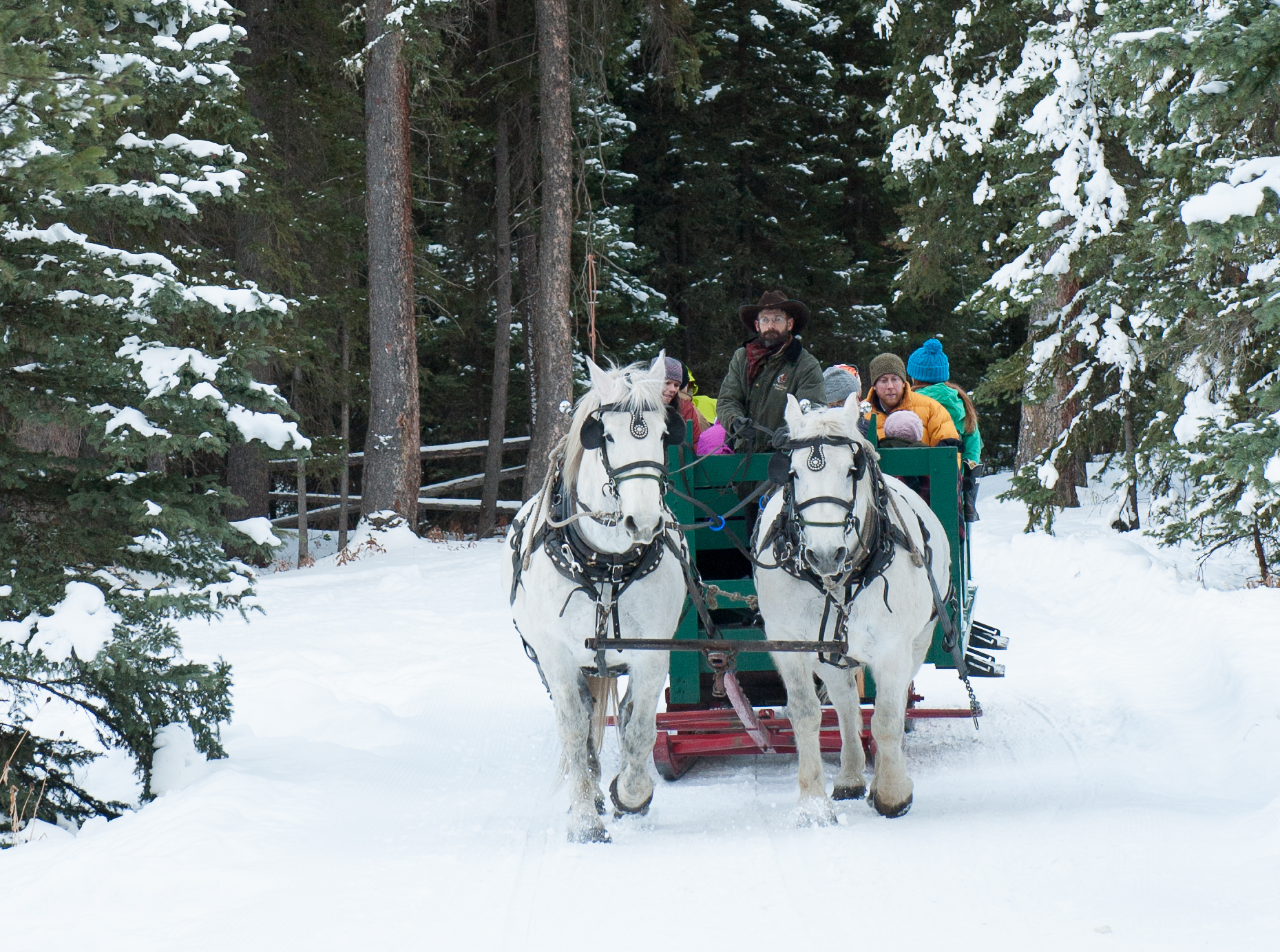 Set your Sights on Sleigh Rides and Firesides