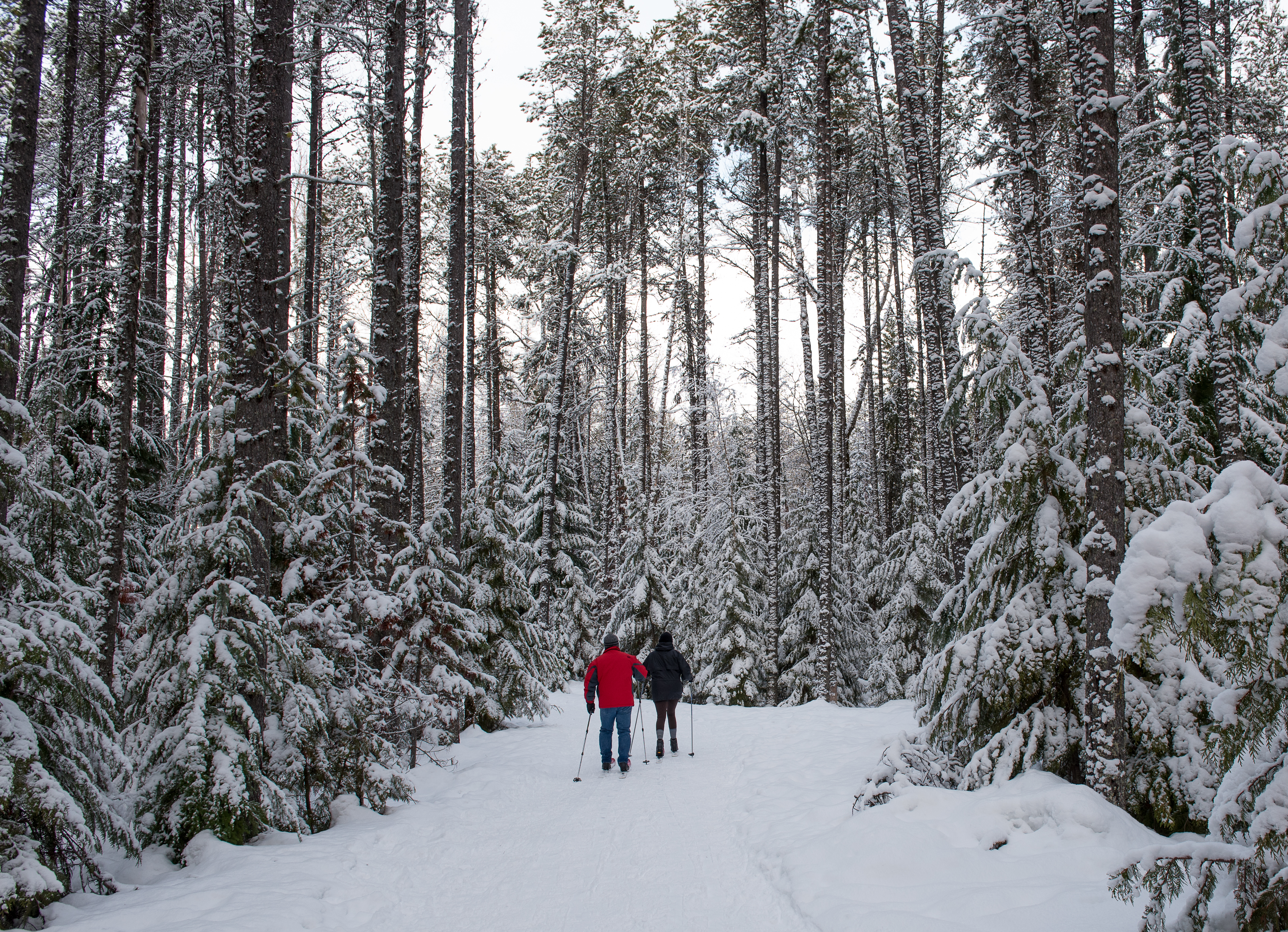 Laid-back Winter Adventures in Glacier National Park