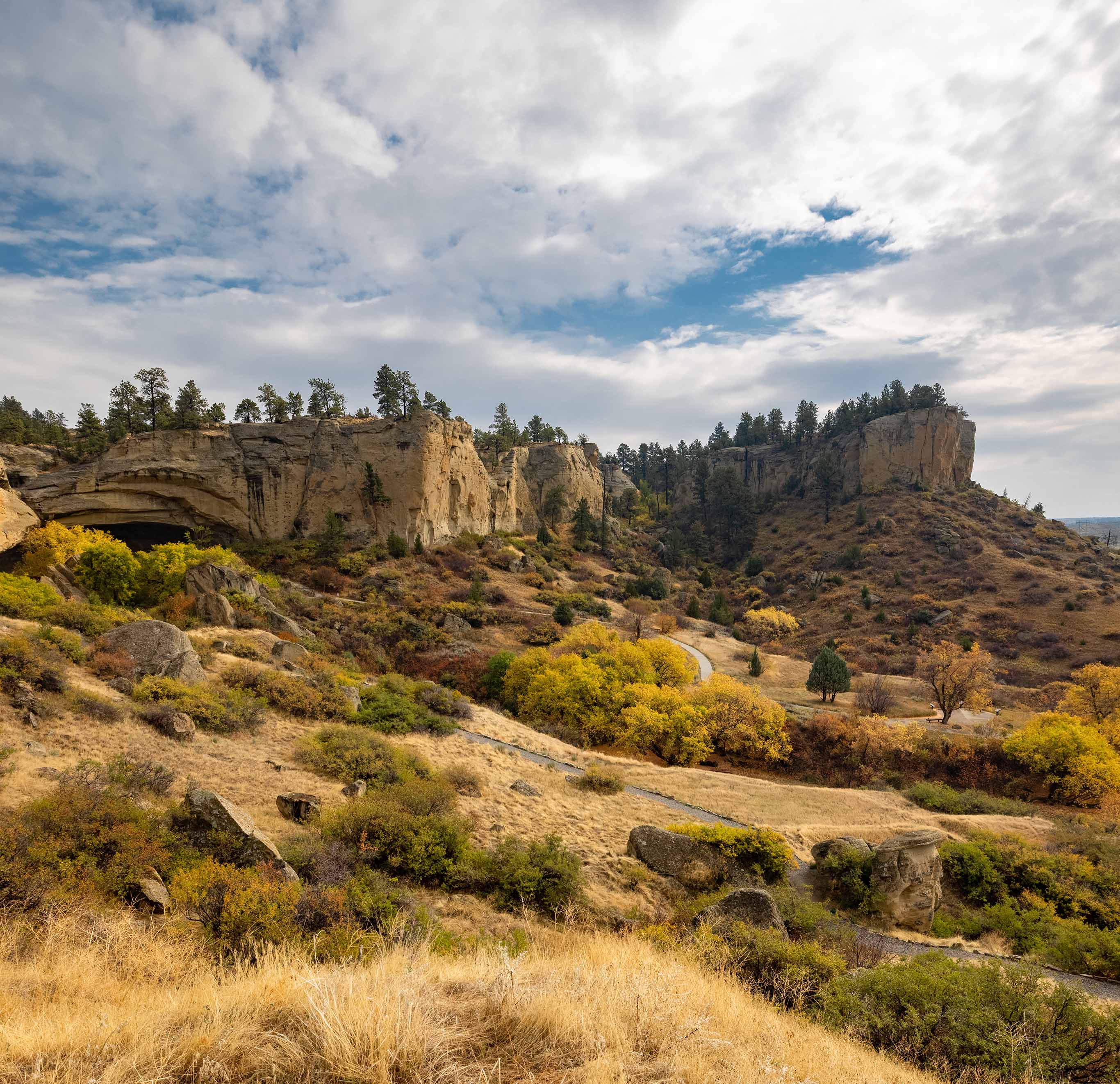 Billings Area