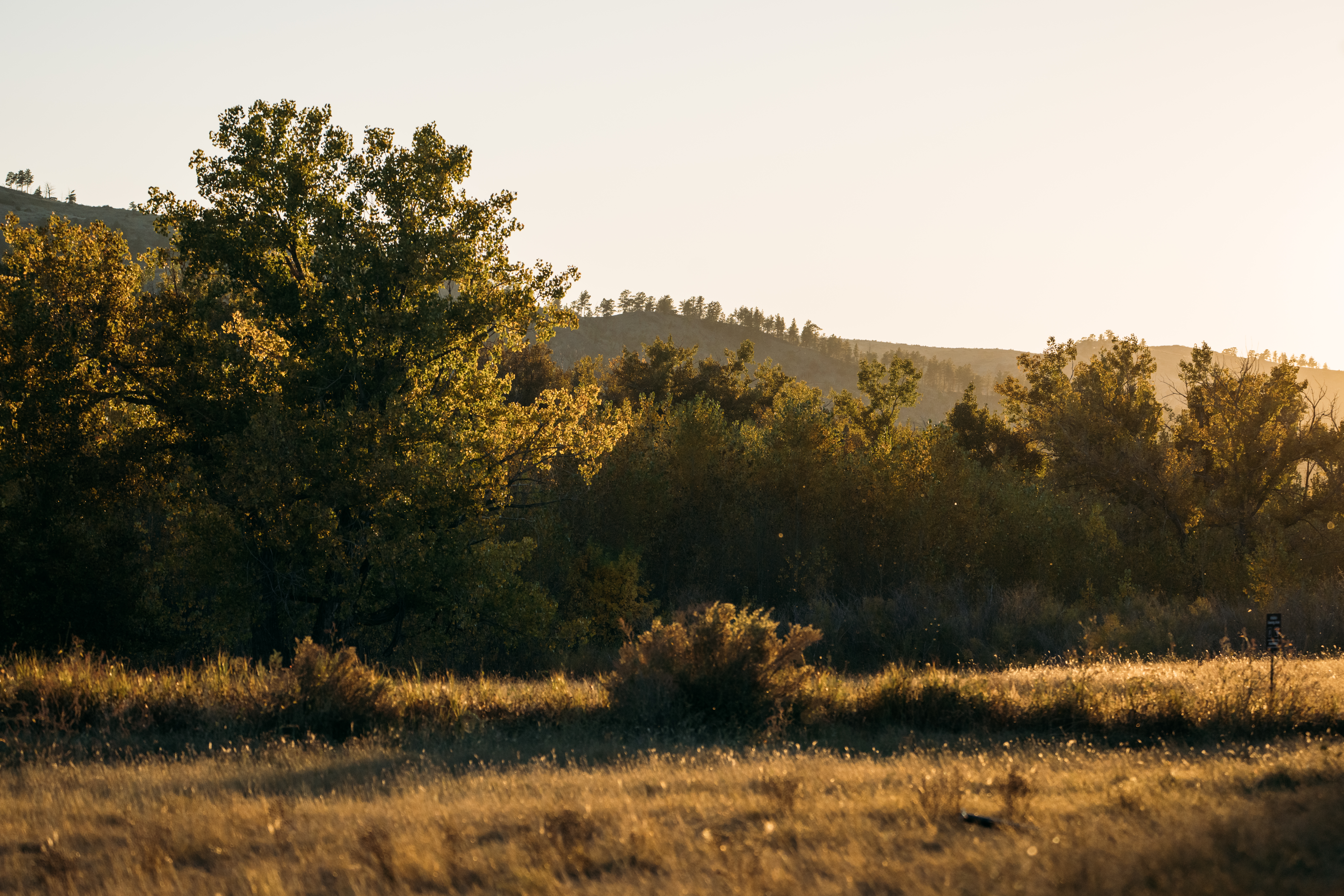 Photo of Montana