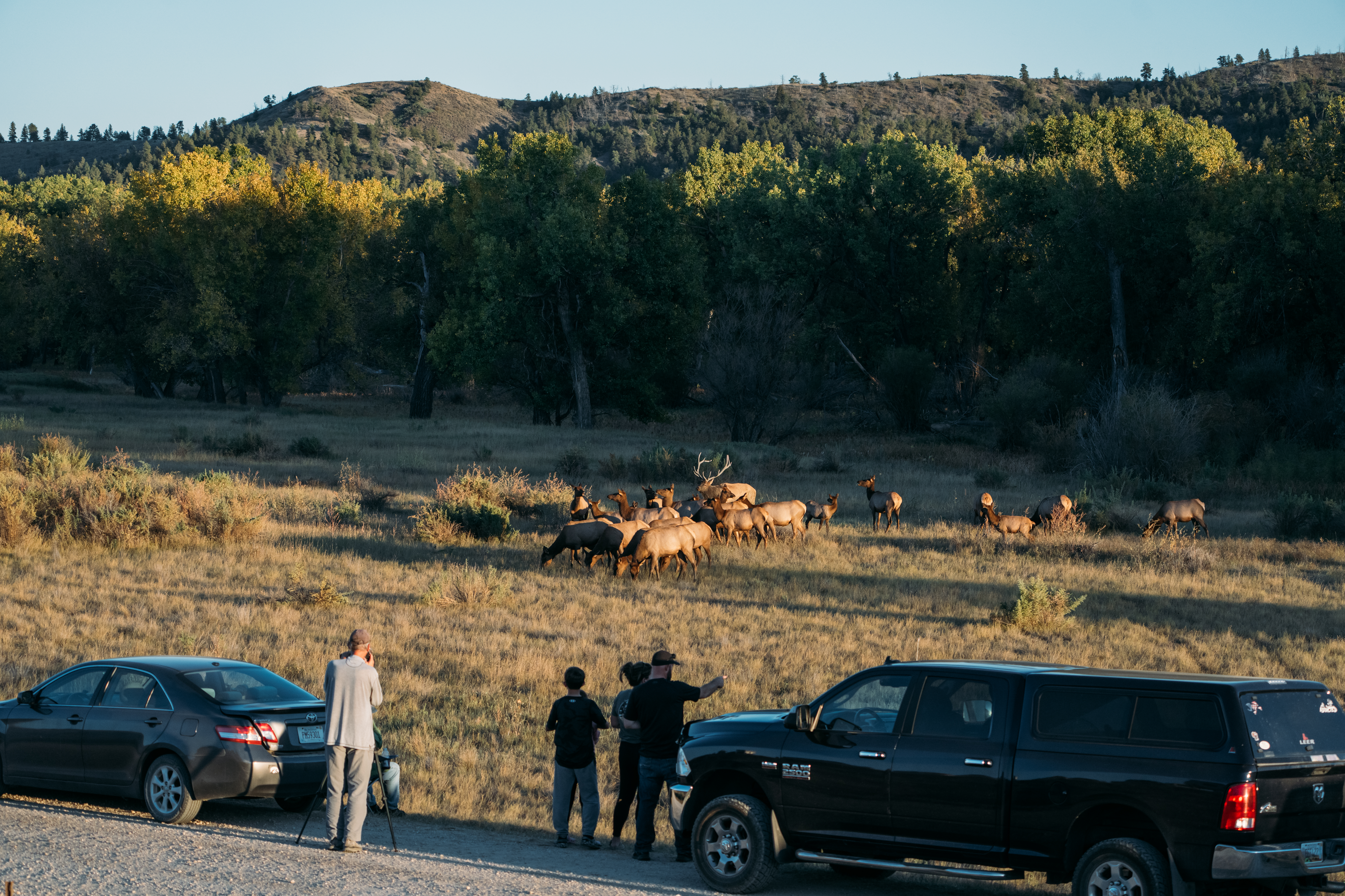 Photo of Montana