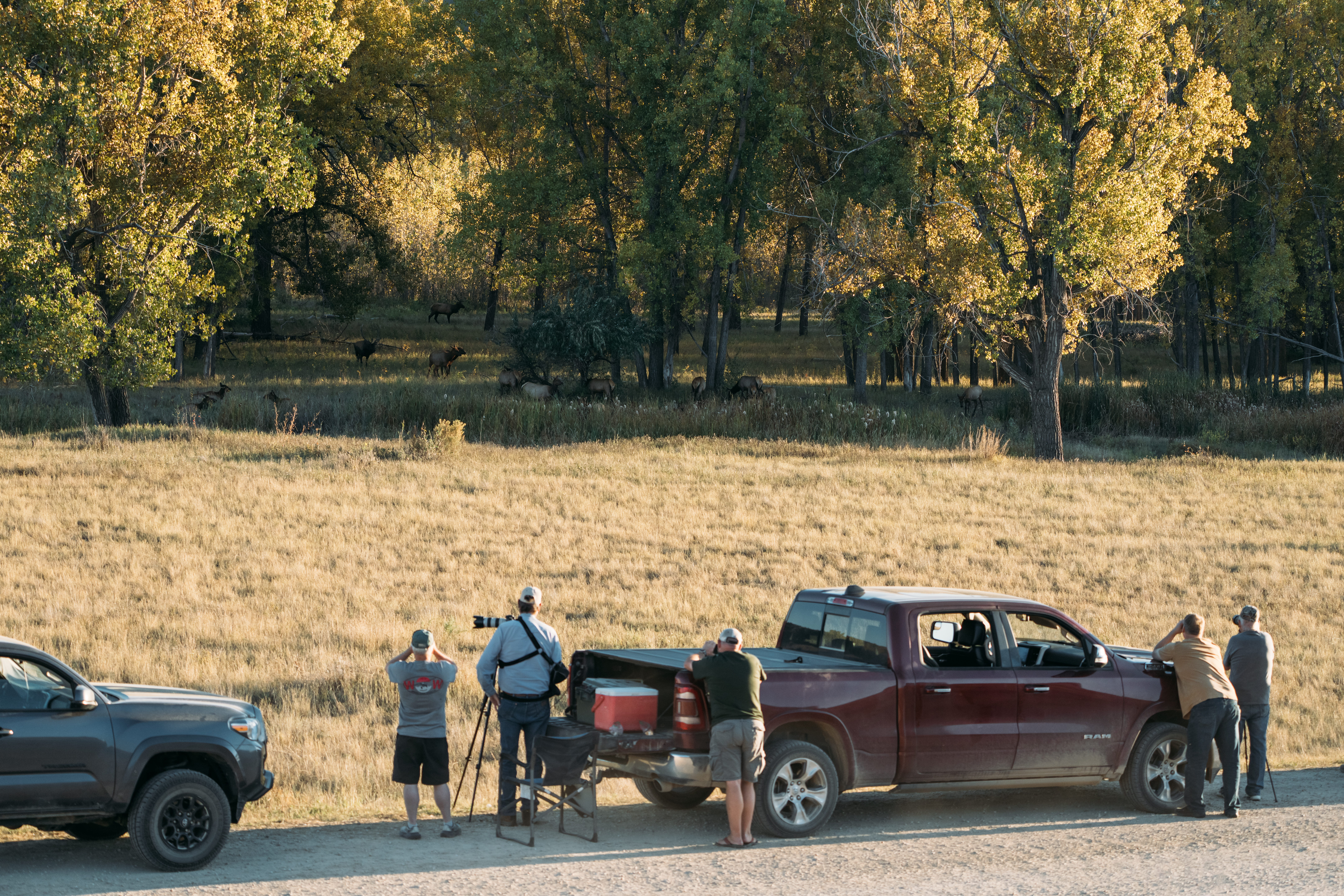 Photo of Montana