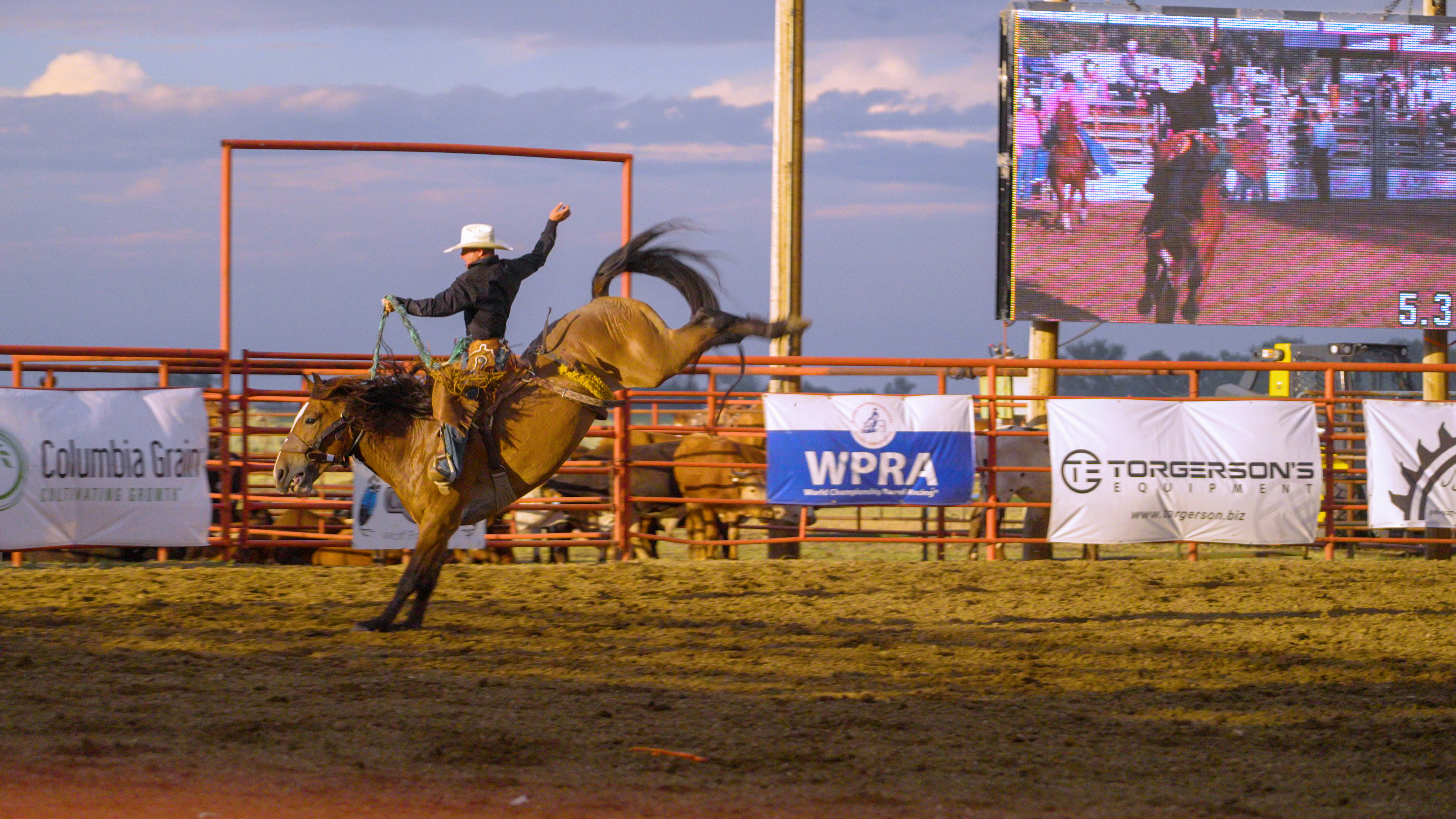 Wolf Point Wild Horse Stampede