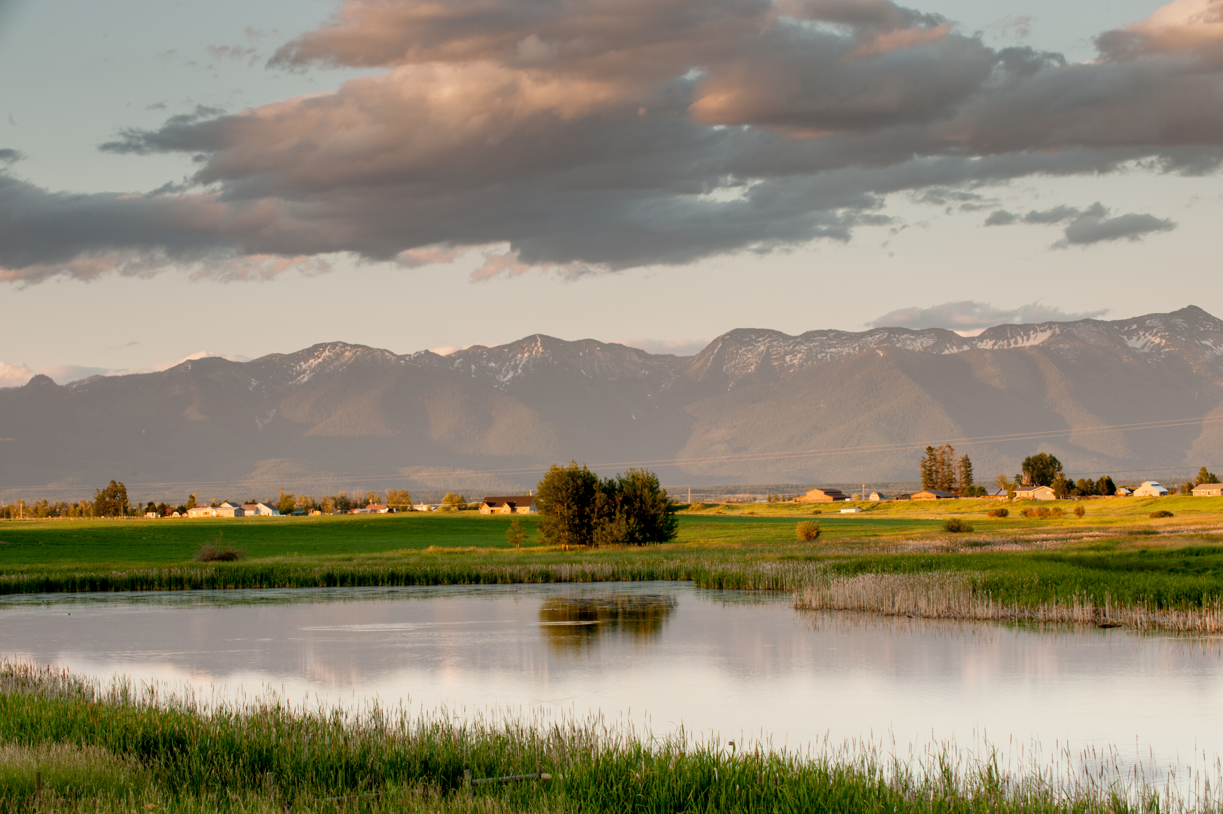 Kalispell
