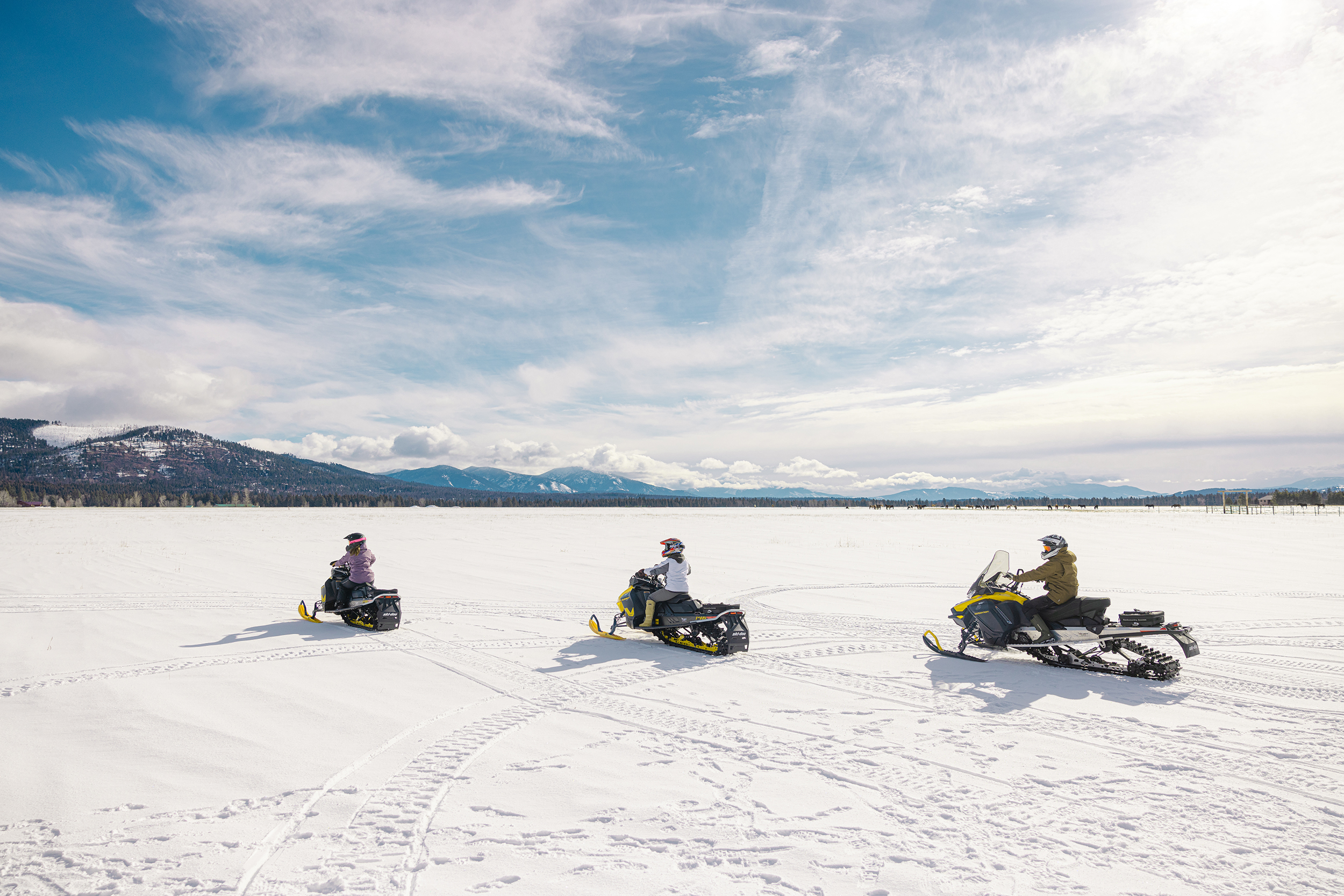 Photo of Montana