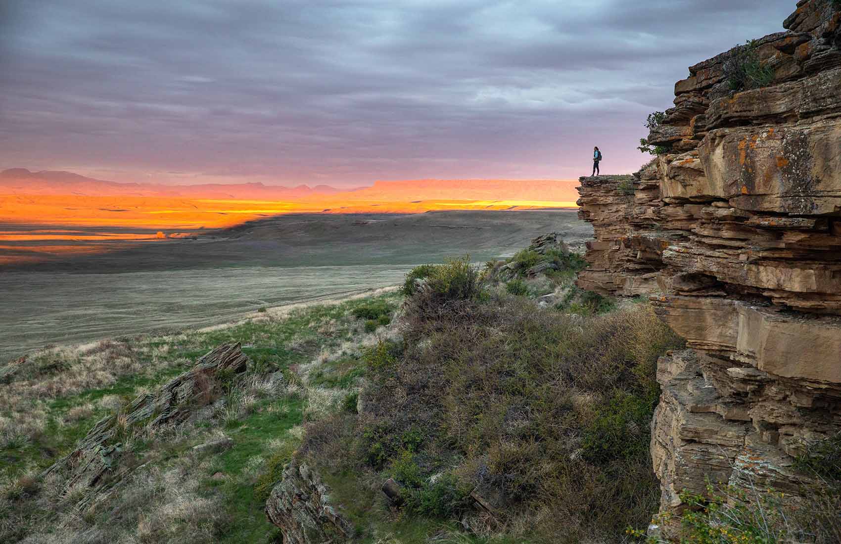 Buffalo Jumps