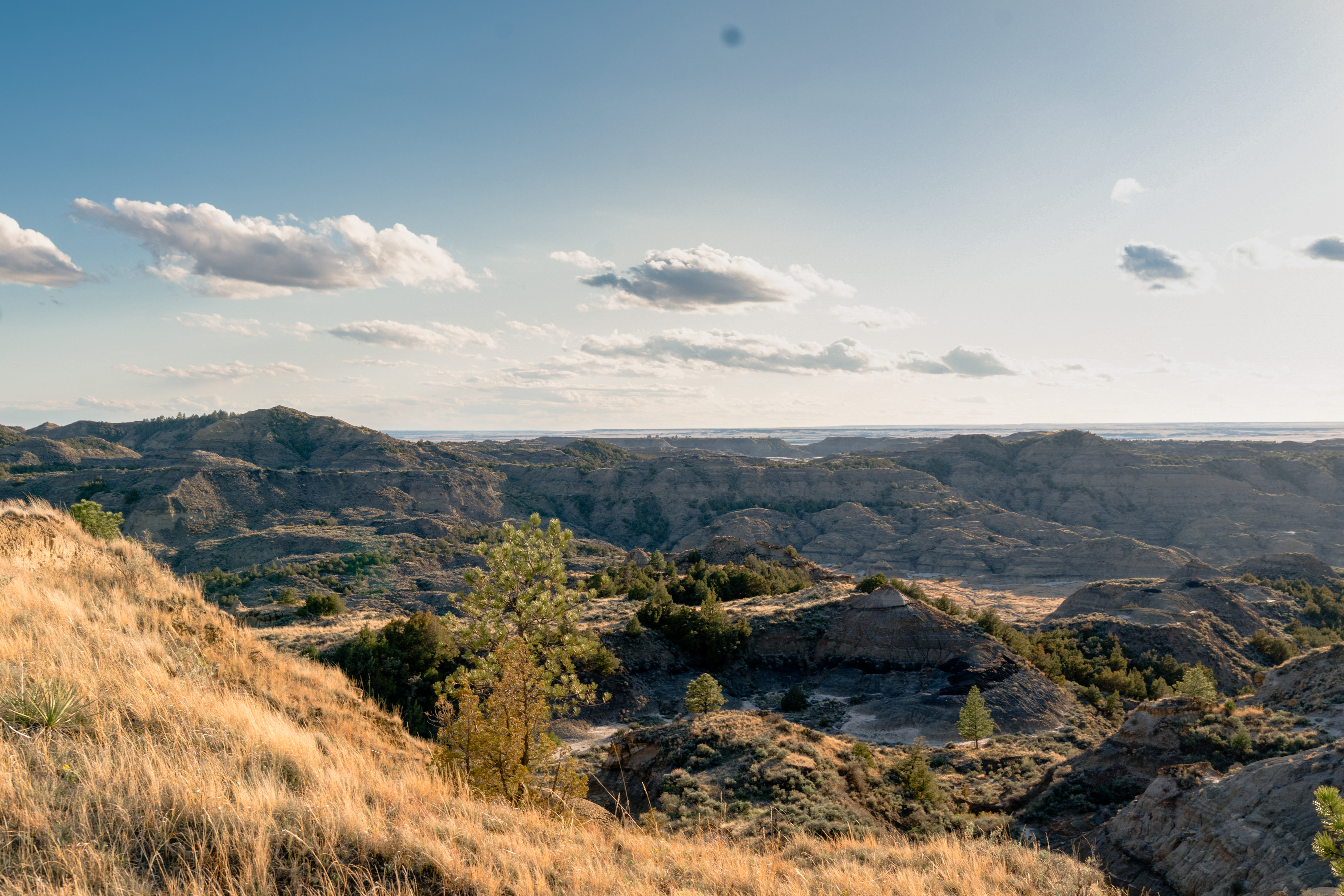 20 Ways to Enjoy the Montana Dinosaur Trail