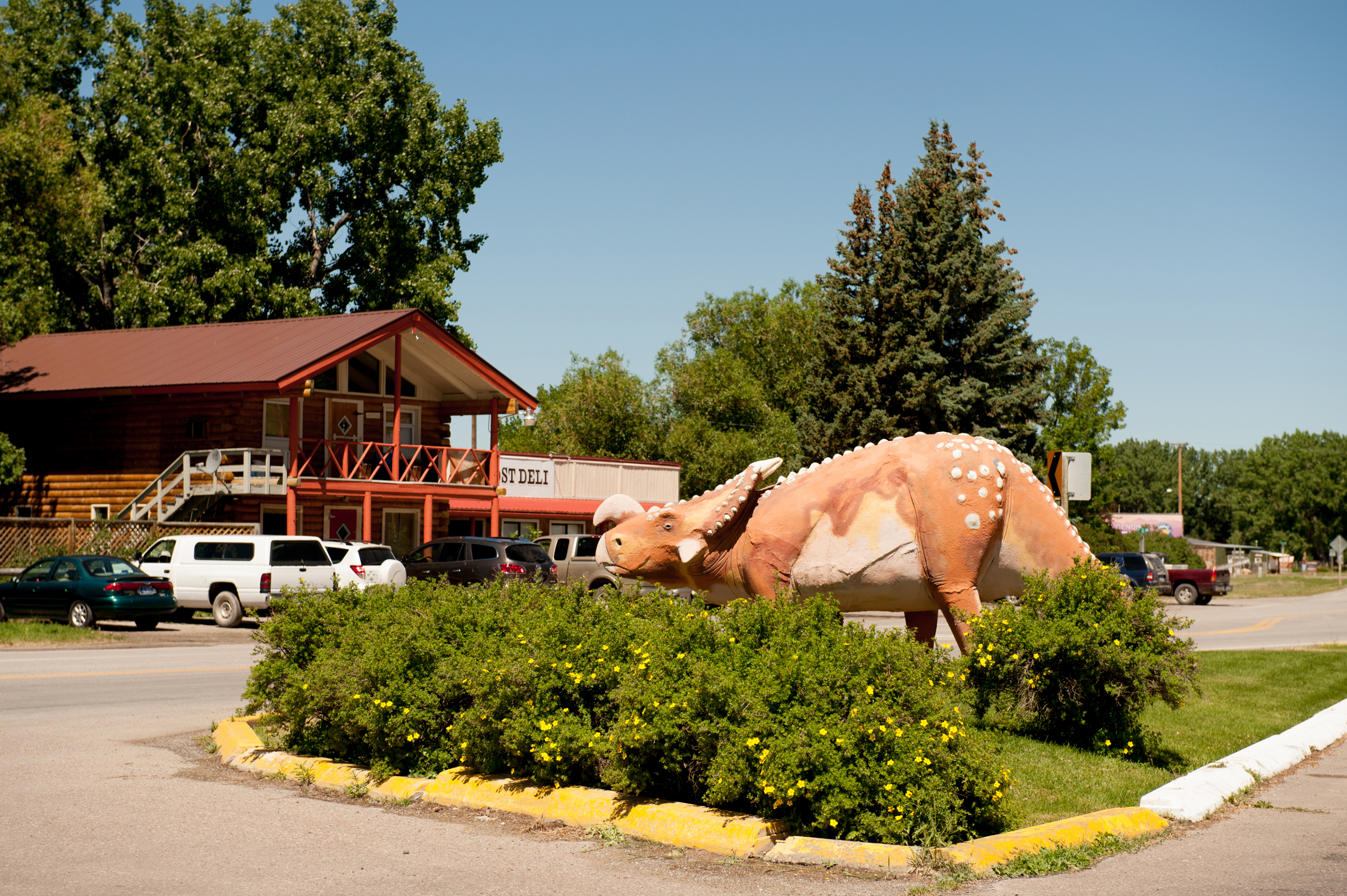 Photo of Montana