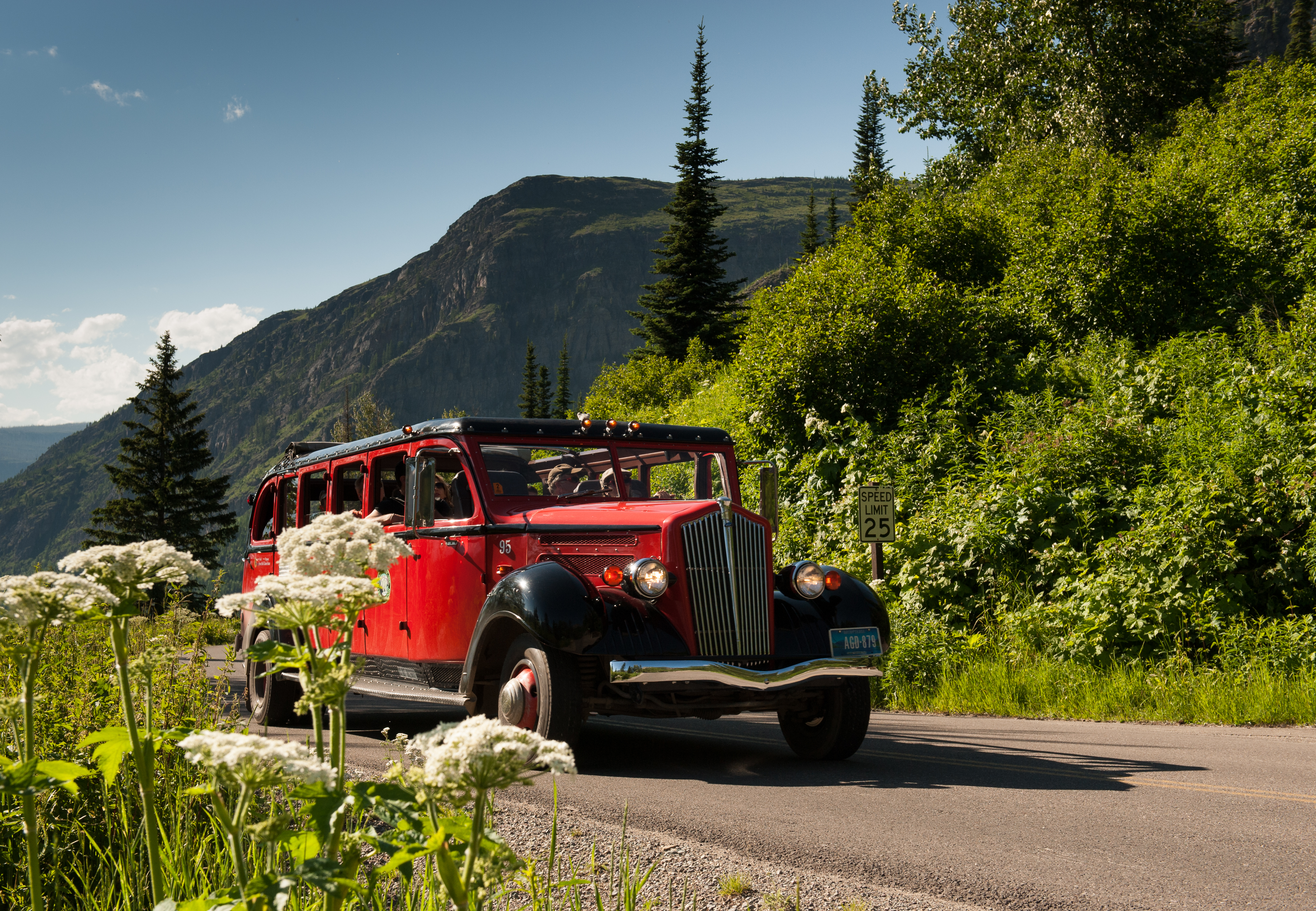 Go Gaga for Glacier National Park