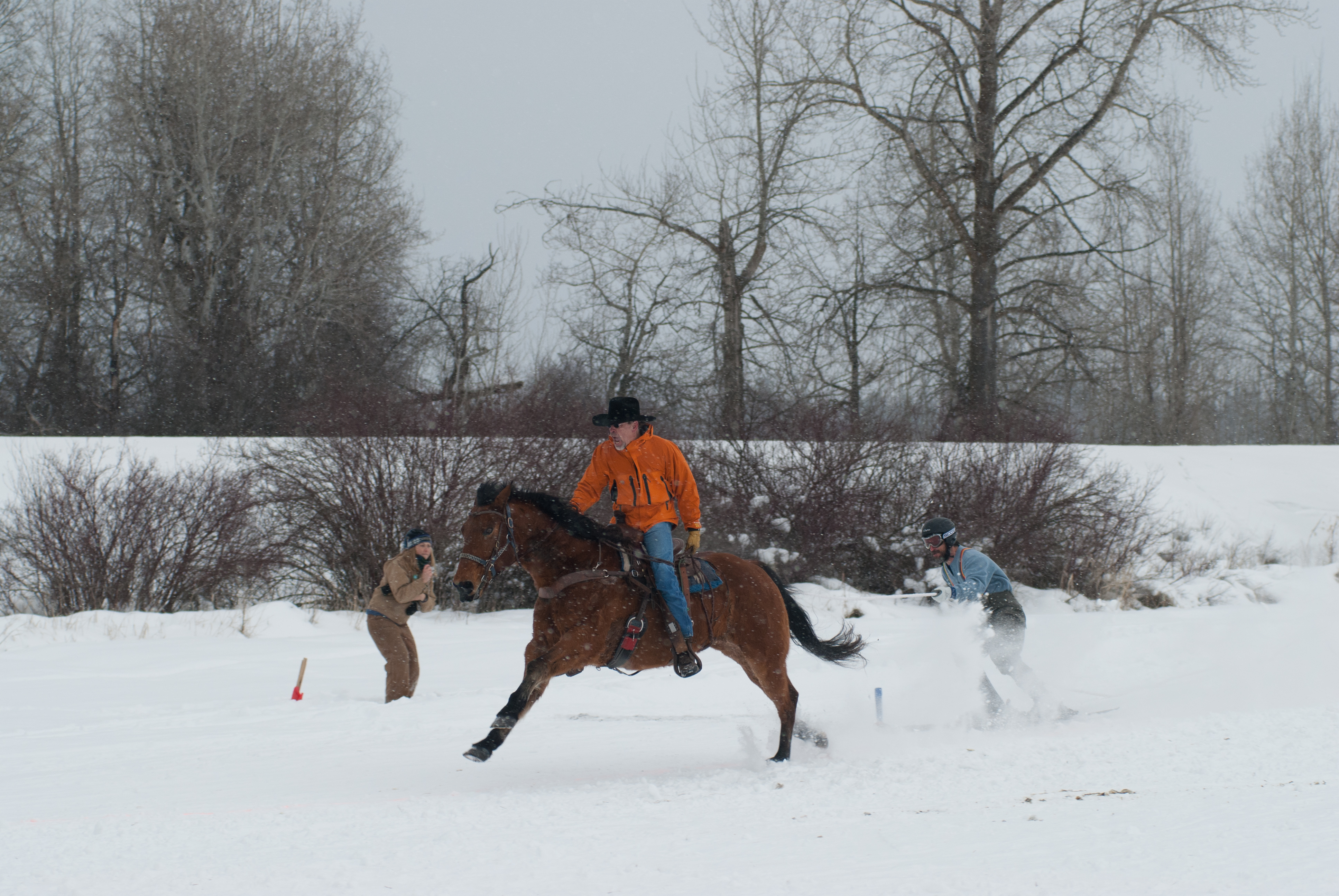 Rodeo Doesn’t Stop in the Snow: Meet Skijoring