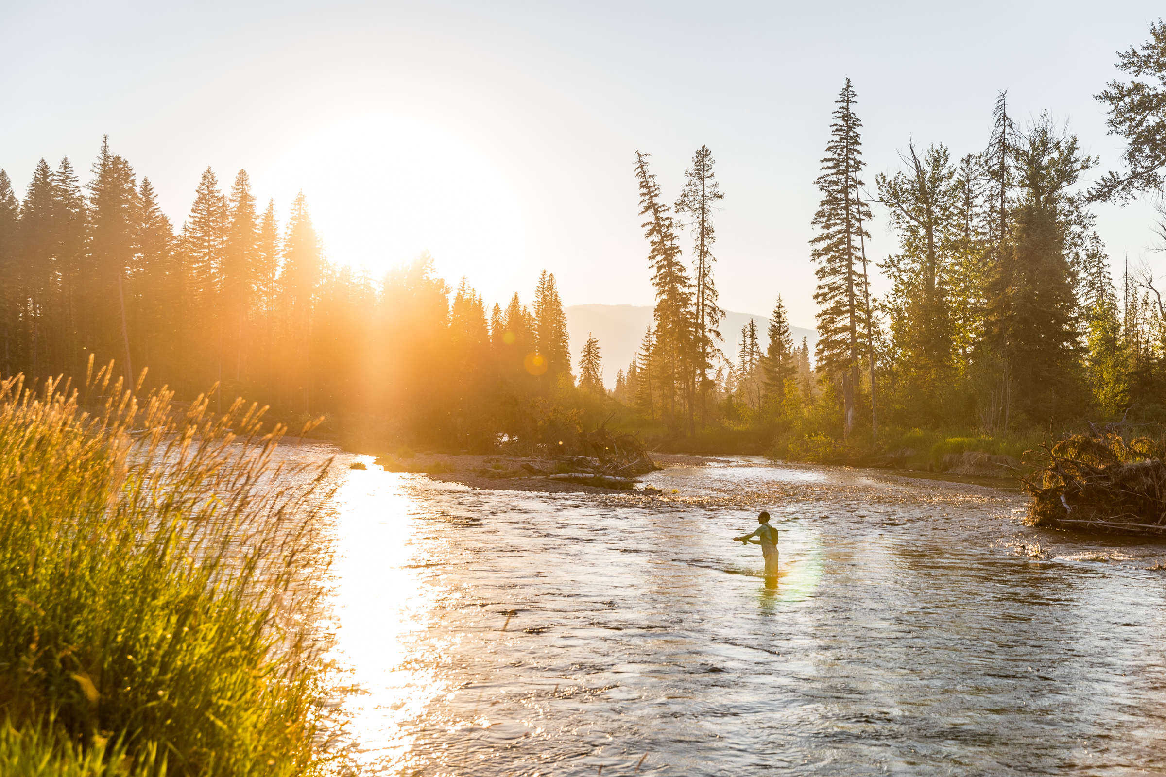 Photo of Montana