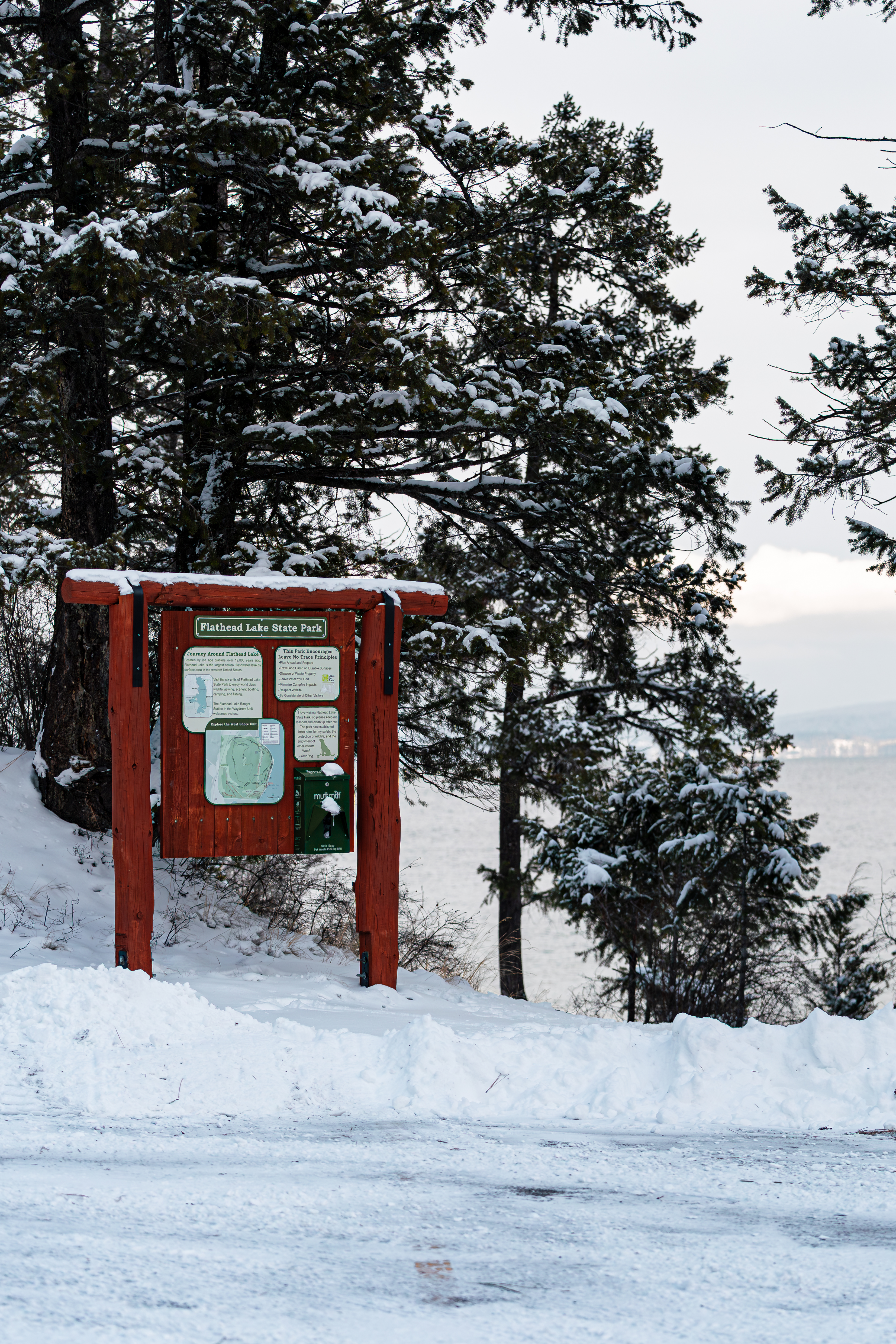 Photo of Montana