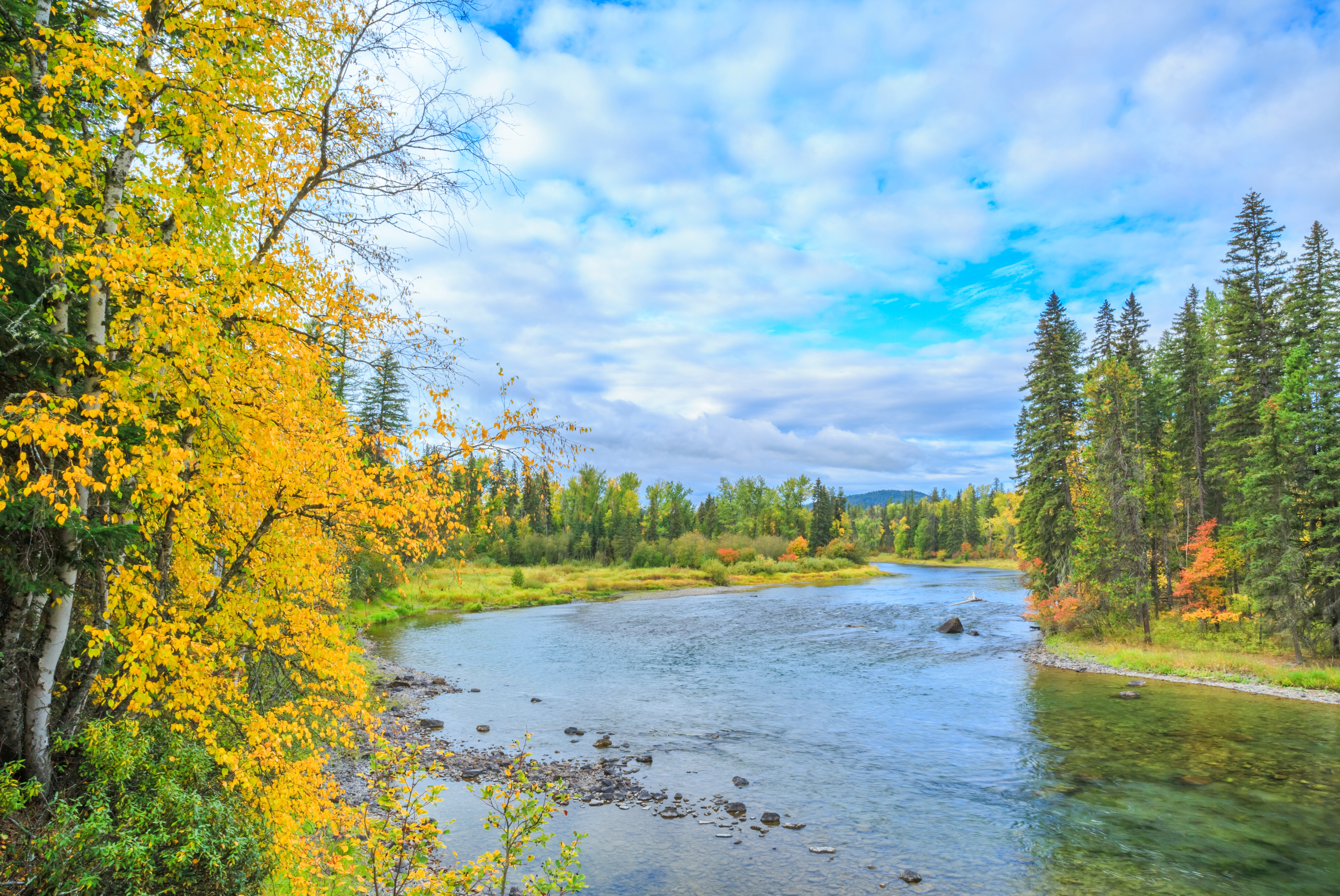 Photo of Montana