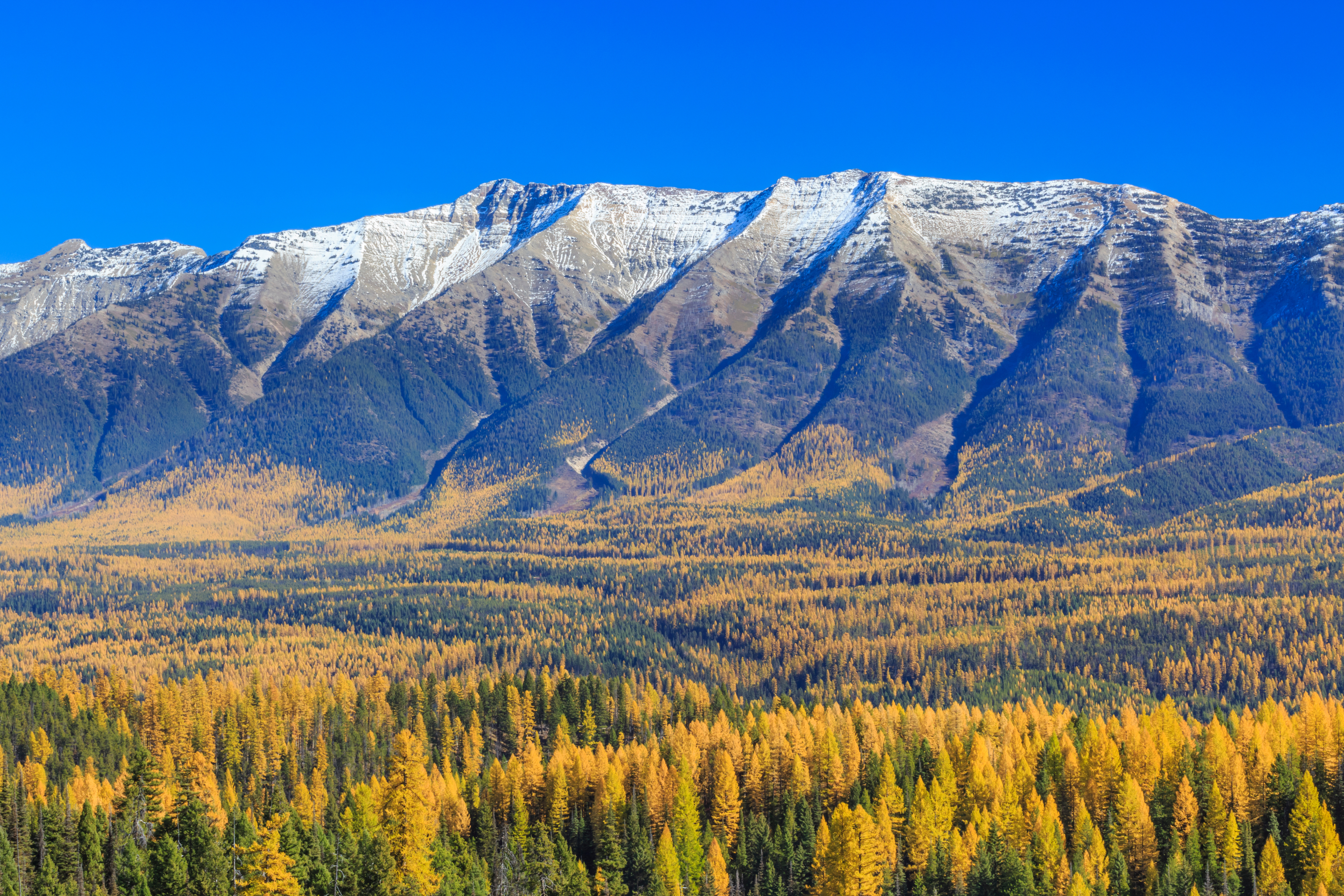 Photo of Montana