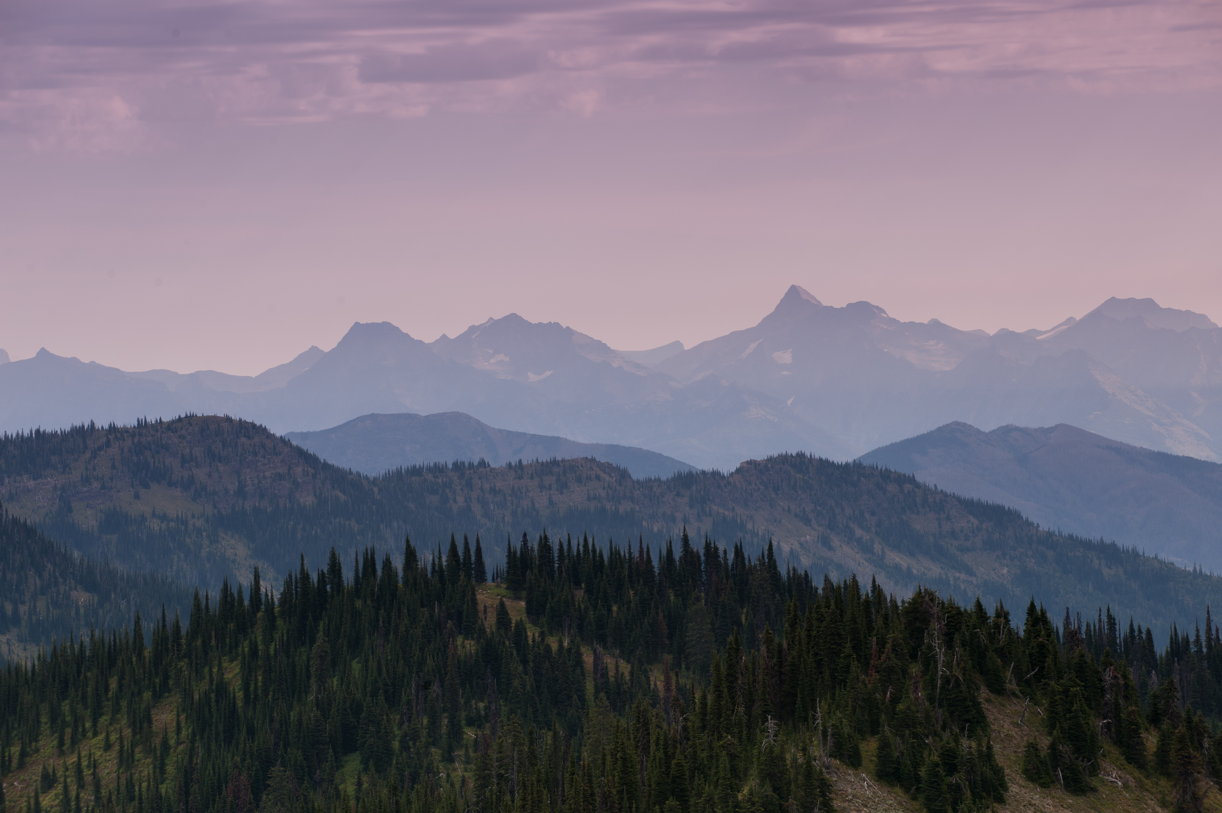 Reid Divide