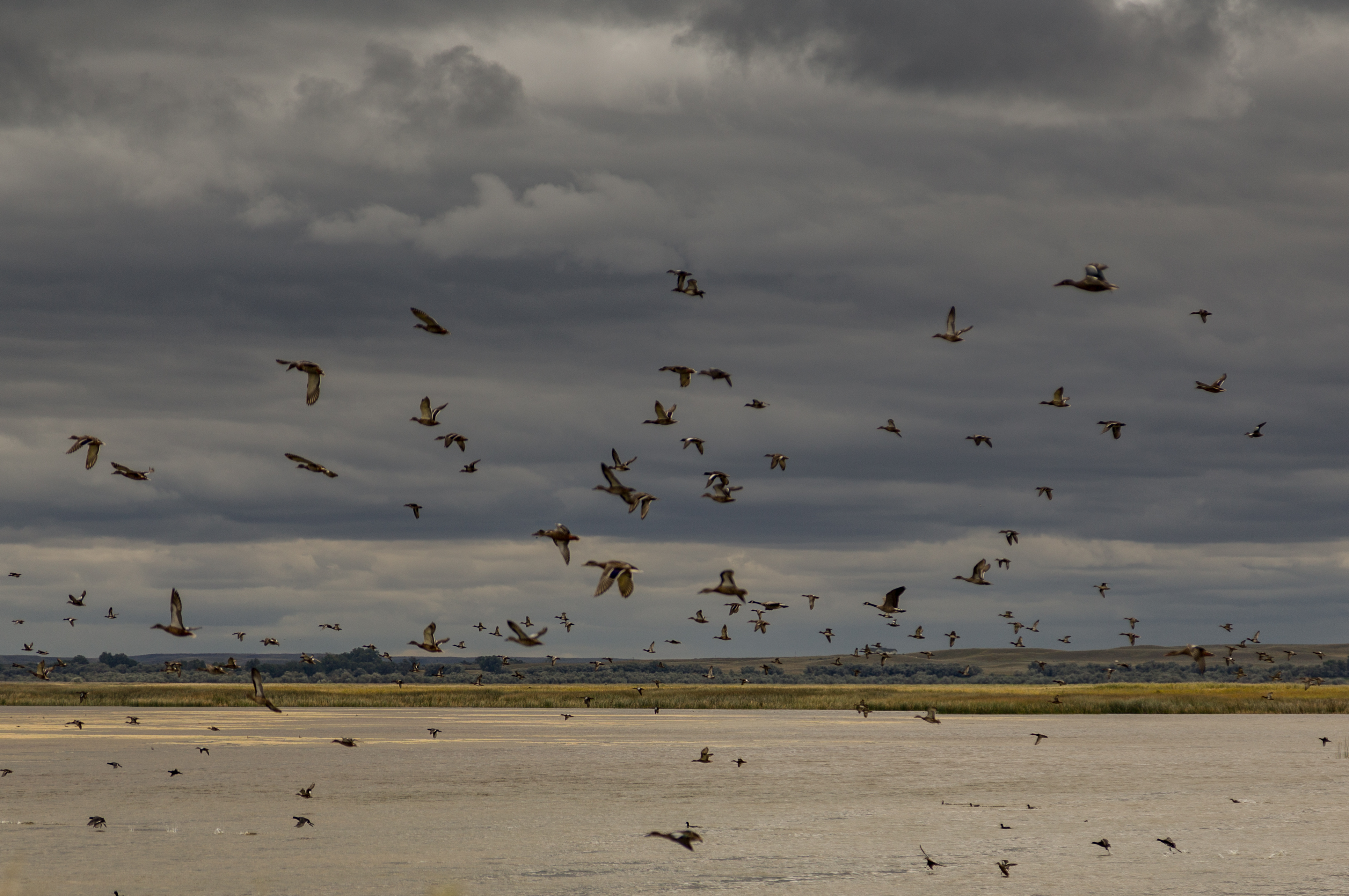 War Horse National Wildlife Refuge