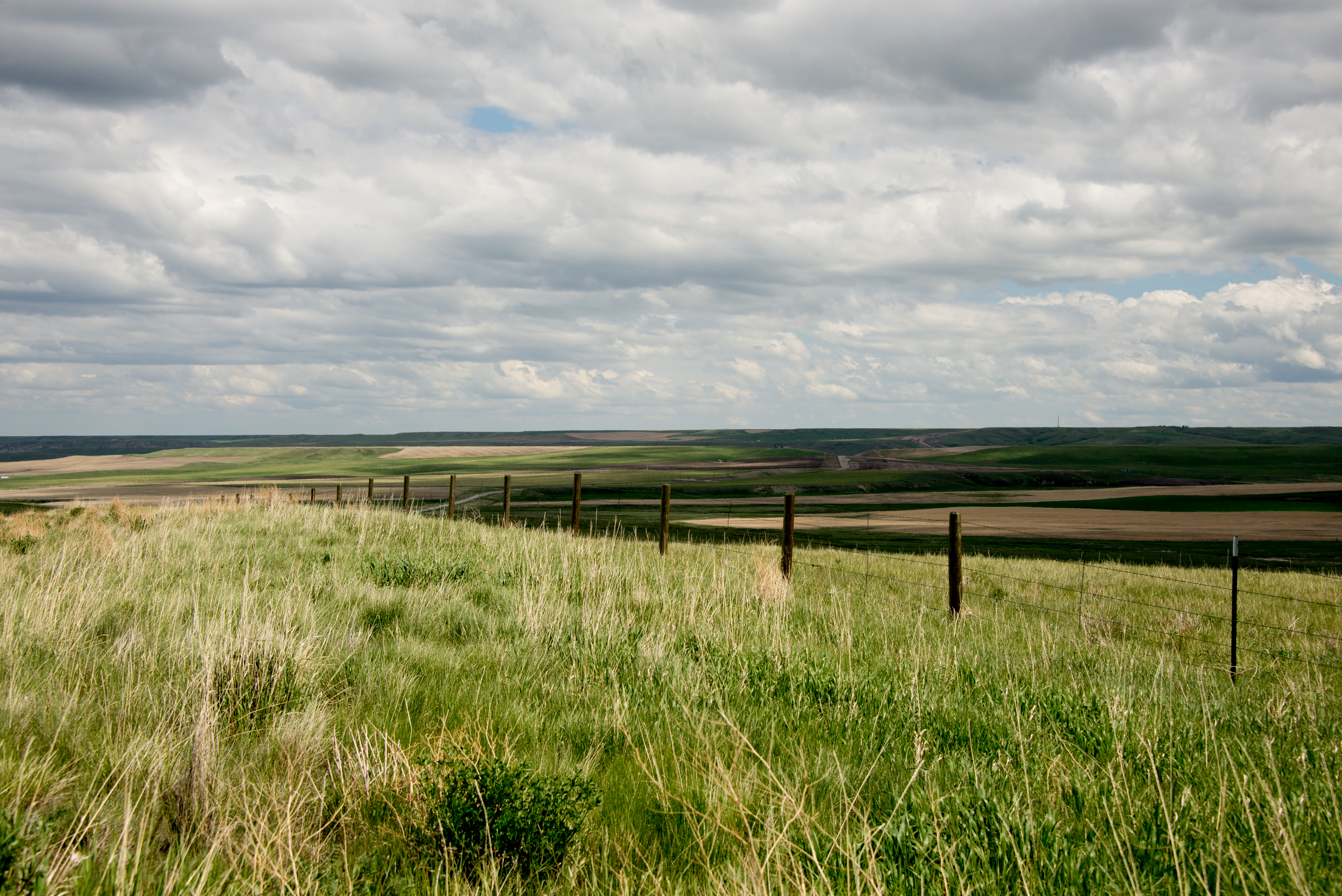 Choteau To Augusta