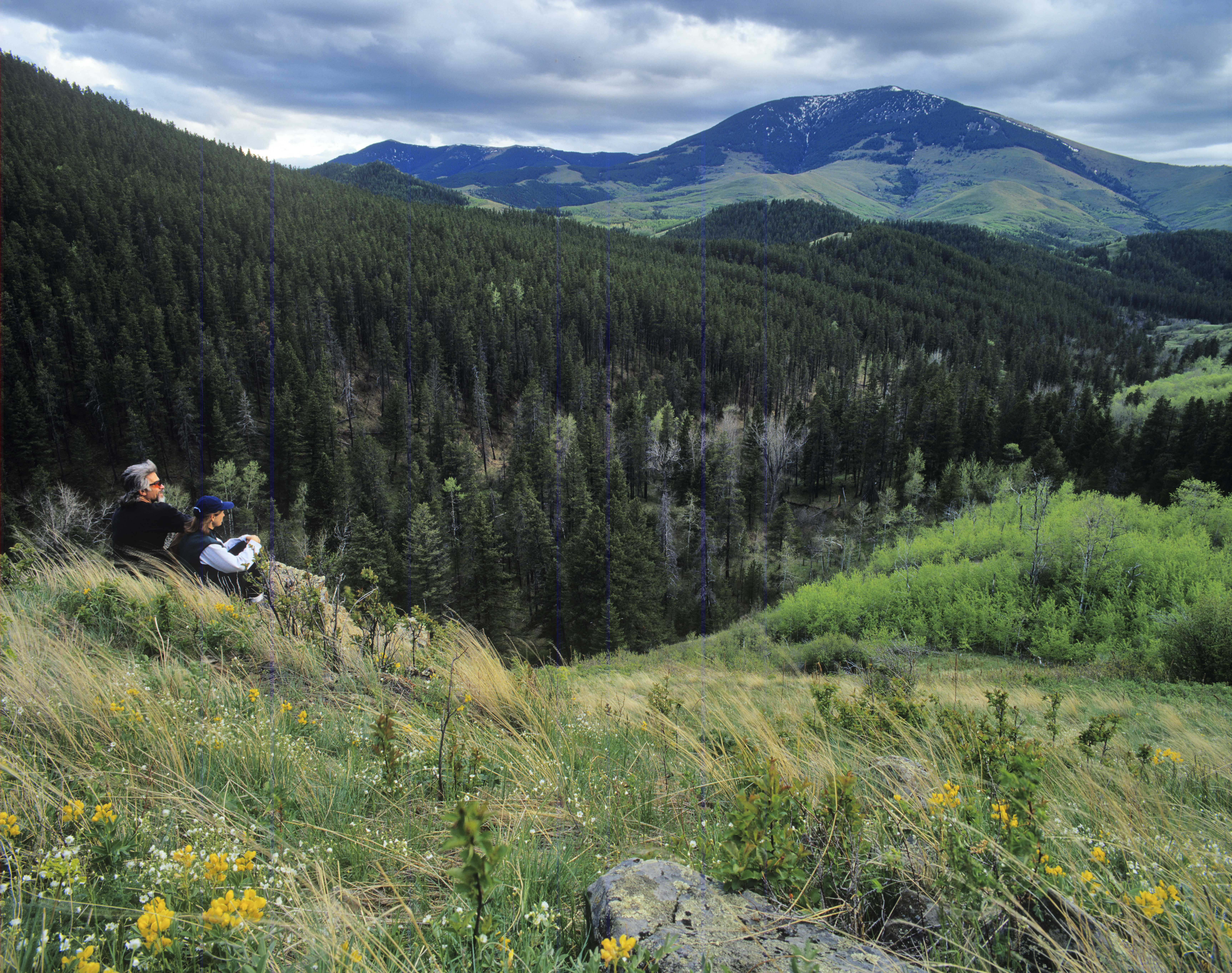 Highwoods Mountain Loop