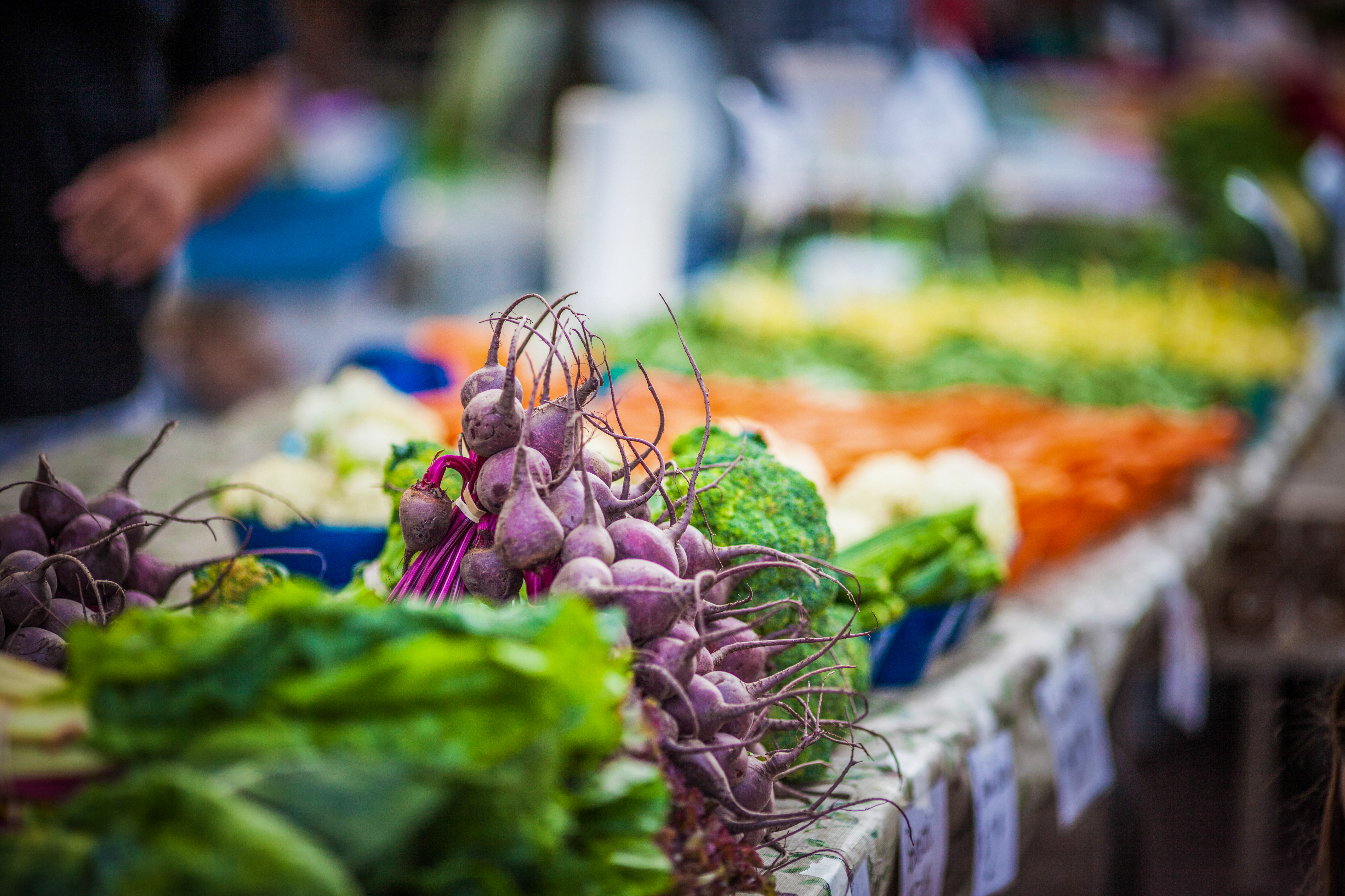 Farmer's Markets
