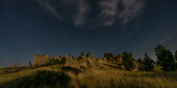 Dark Skies and Wildlife