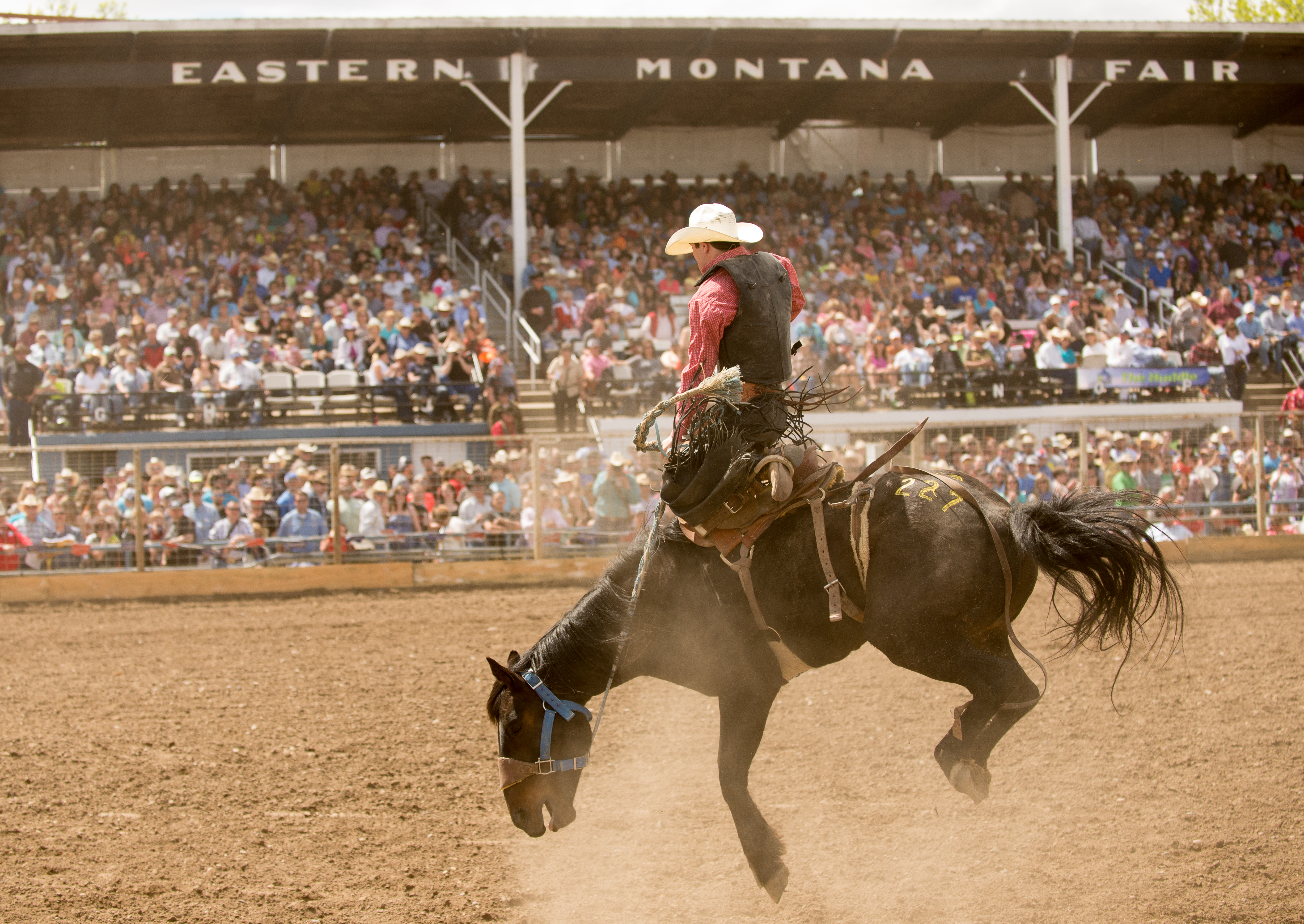 Fun For the Family: Montana State Fair