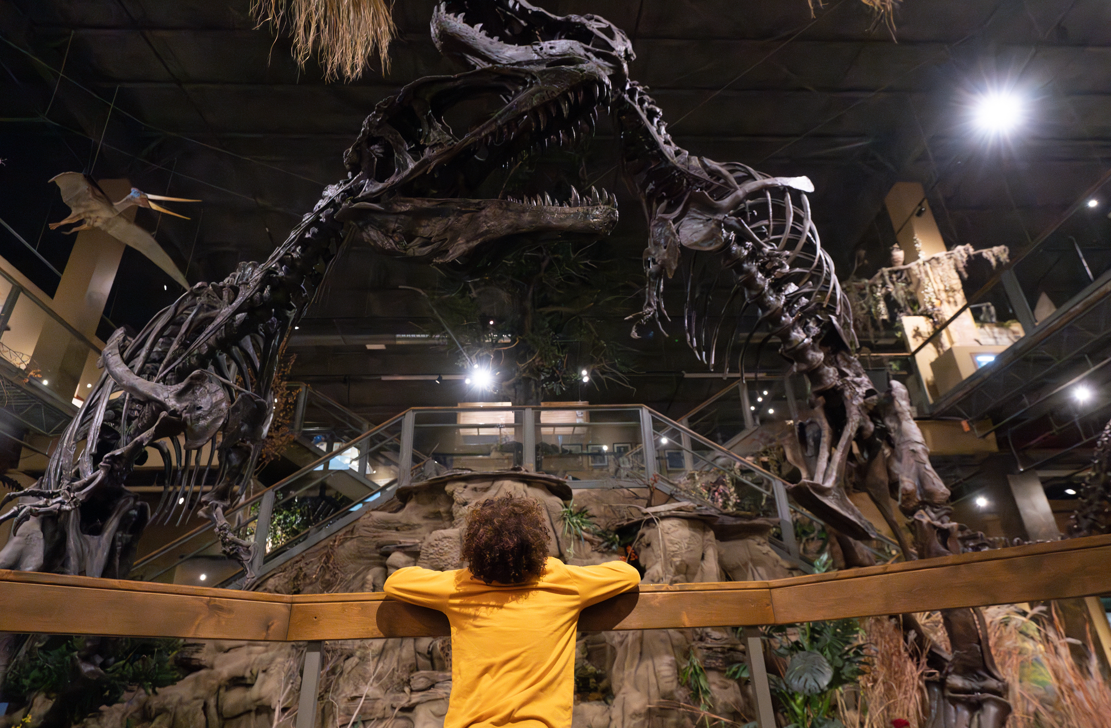 Museums