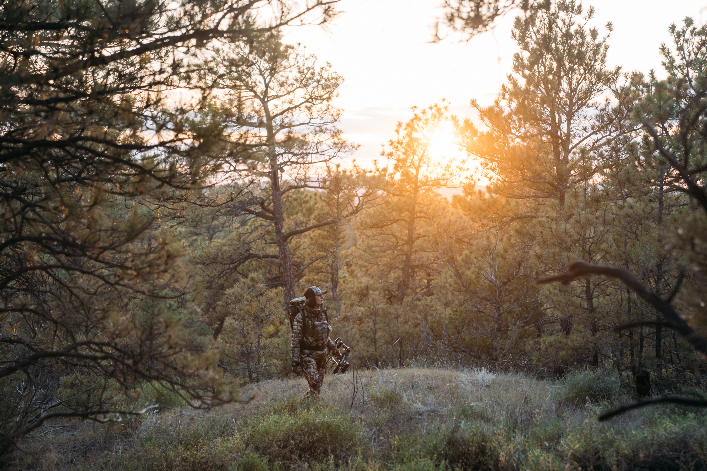 Finding Inspiration in Montana’s Prairie