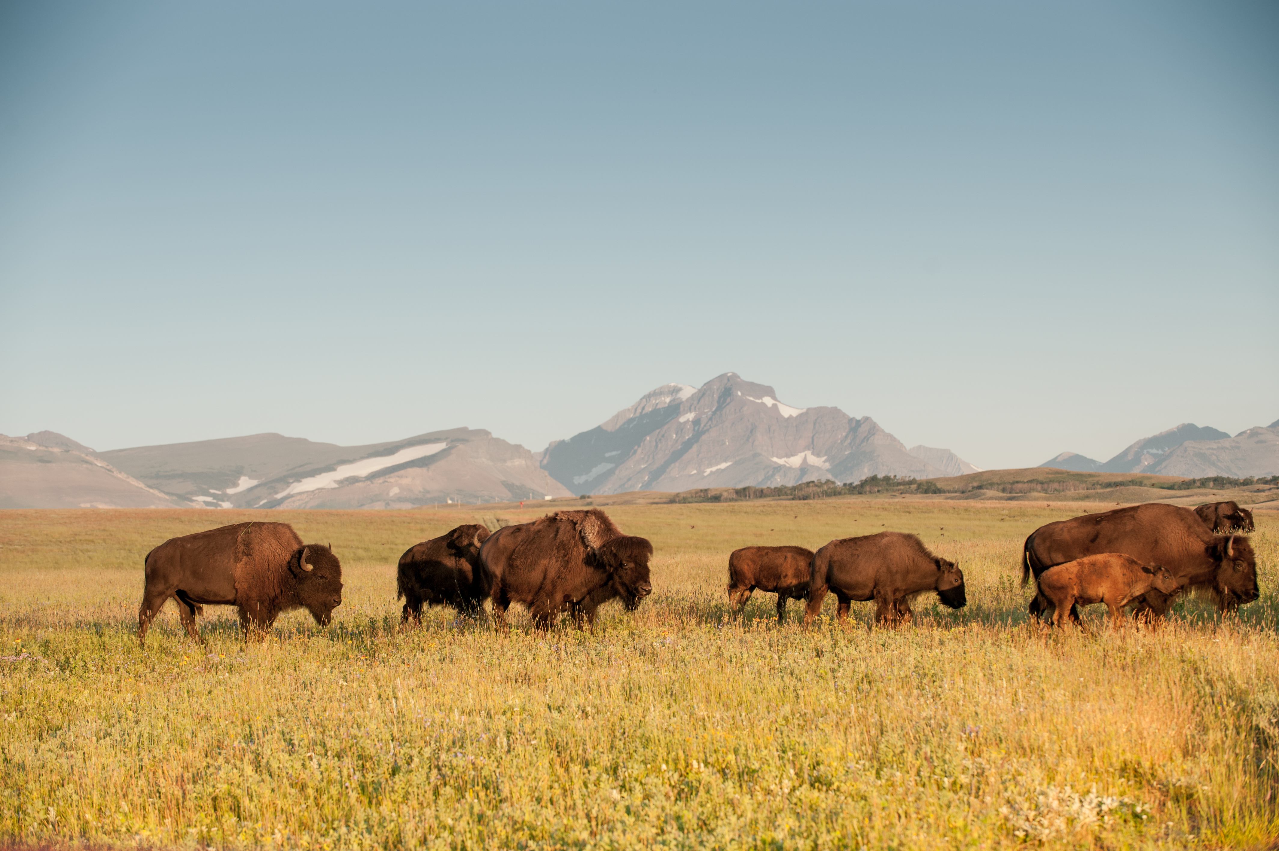 Tribal Recreation Permits